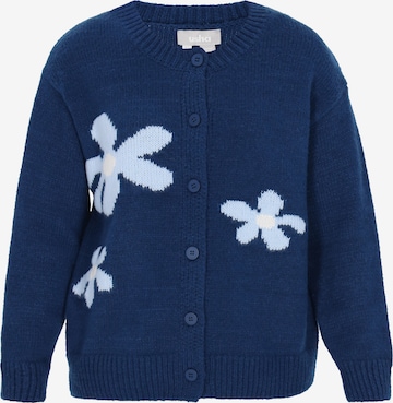 Usha Kofta i blå: framsida