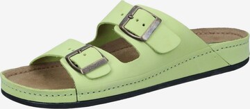 DR. BRINKMANN Mules 'BONILLO' in Green: front