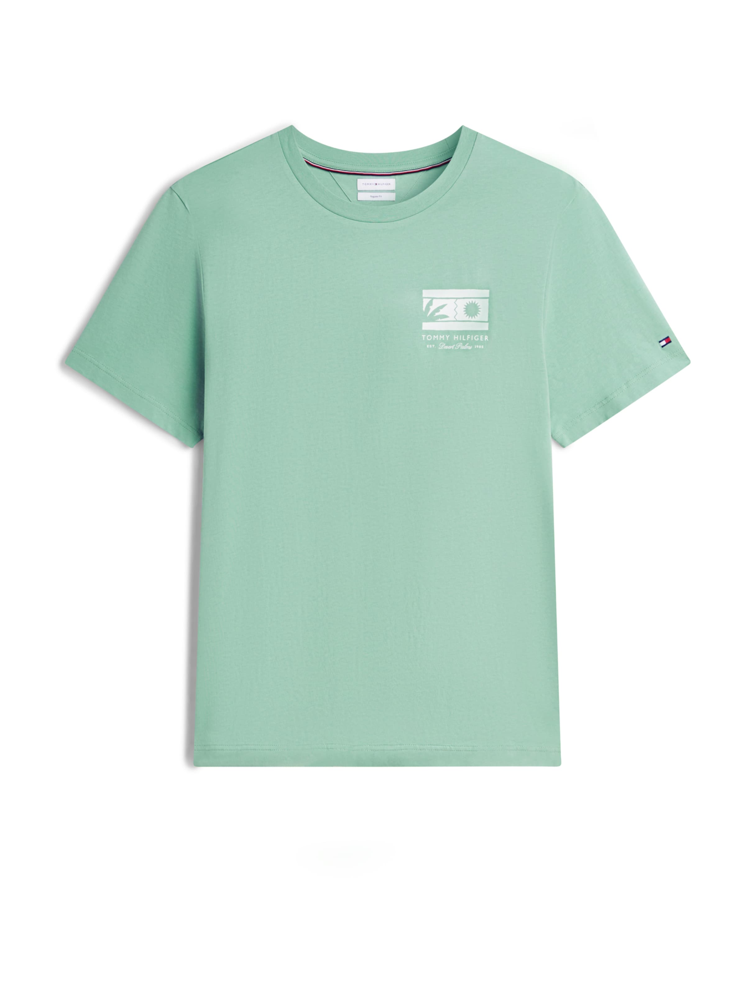 TOMMY HILFIGER Paita värissä vaaleanvihreä / valkoinen, Tuotenäkymä