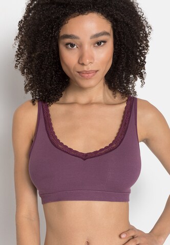 s.Oliver Bralette Bra in Purple: front