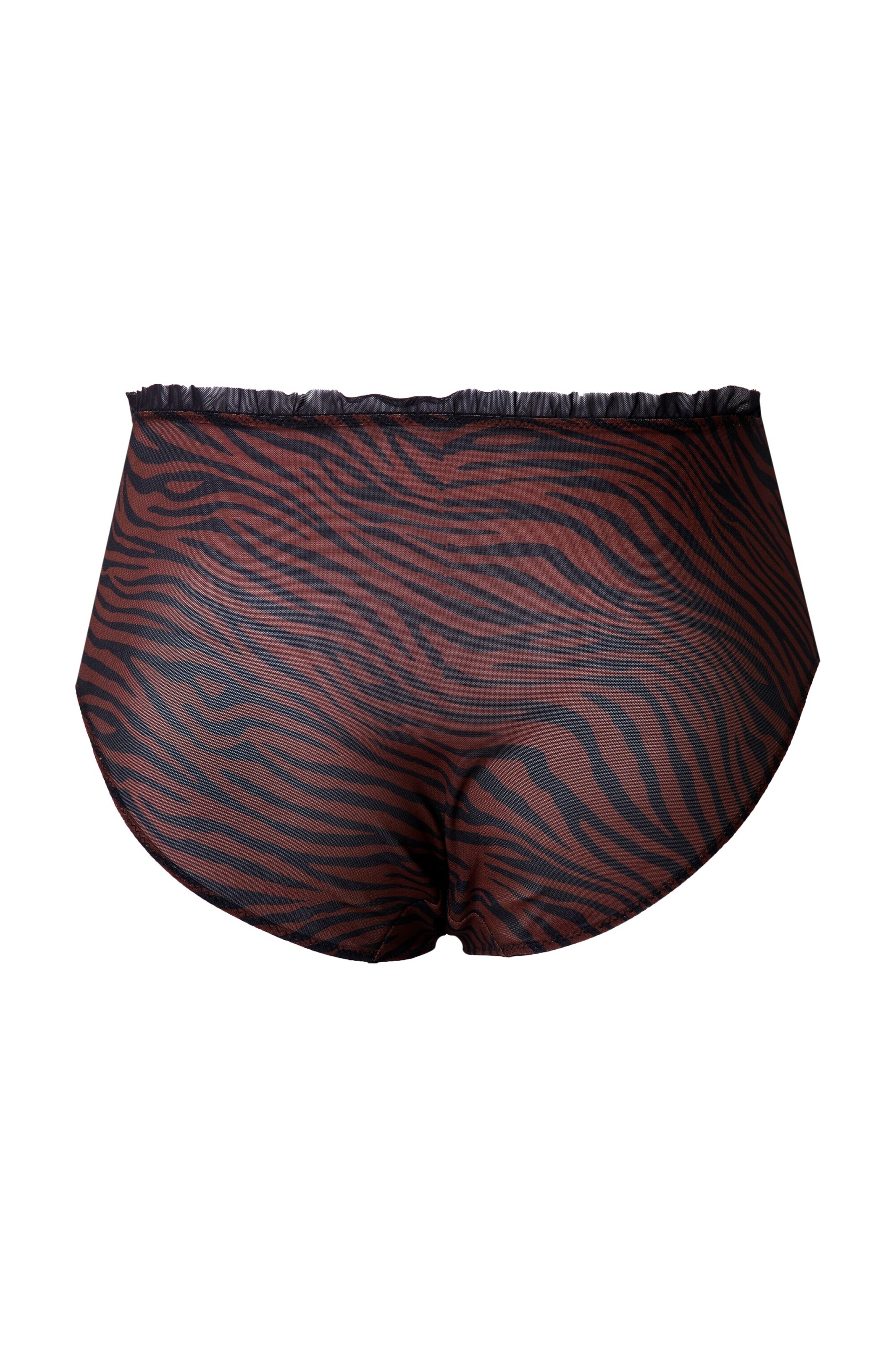 TruYou Panty in Brown