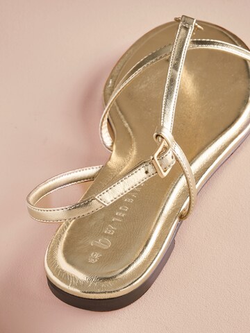 B by Ted Baker Zehentrenner in Gold