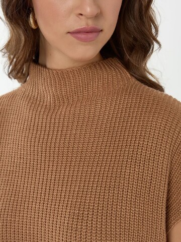 Pullover di Hiccup in marrone