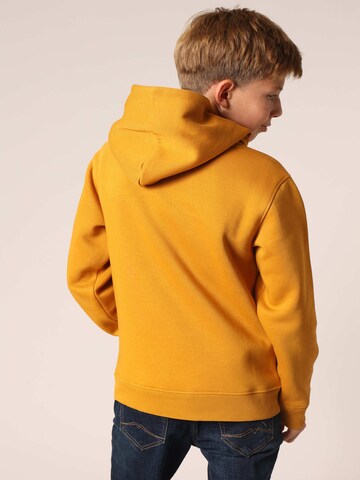 Deeluxe Sweatshirt 'BEN' in Geel