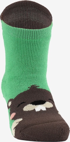 ROGO Socks 'Biber' in Green