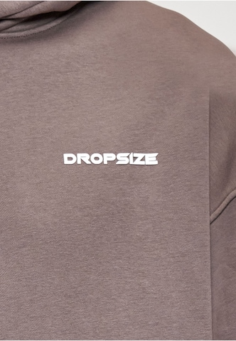 Dropsize Bluzka sportowa w kolorze brązowy