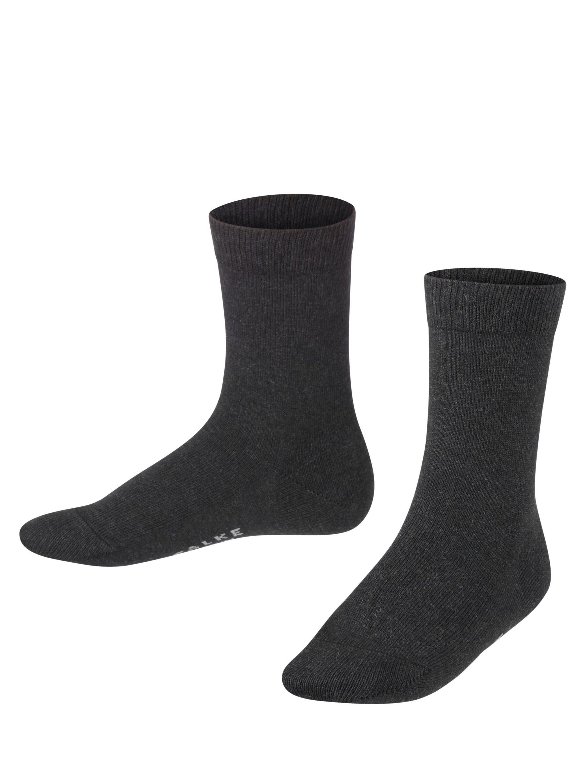 FALKE Socks 'Family' in Grey: front