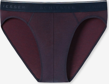 SCHIESSER Panty 'Piqué' in Red: front