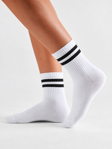sockenkauf24 Athletic Socks in White: front