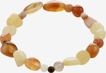 mišri Pilgrim Apyrankė 'Iris': priekis