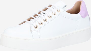 JUTELAUNE Sneakers in White: front