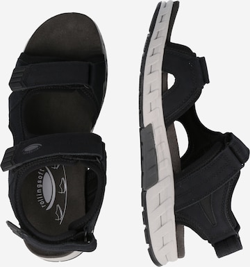 Pius Gabor Sandals in Black