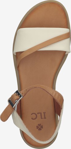 ILC Sandalen met riem in Beige