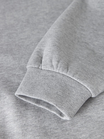 LMTD Sweatshirt in Grijs