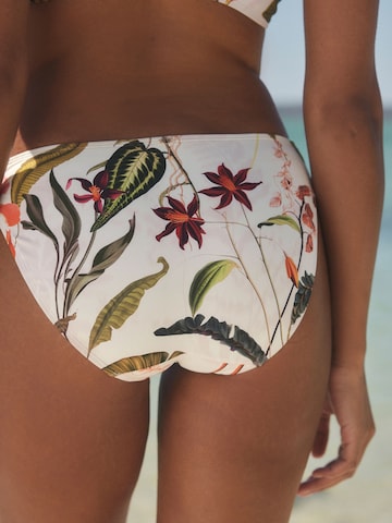Next Bikini hlačke | bela barva