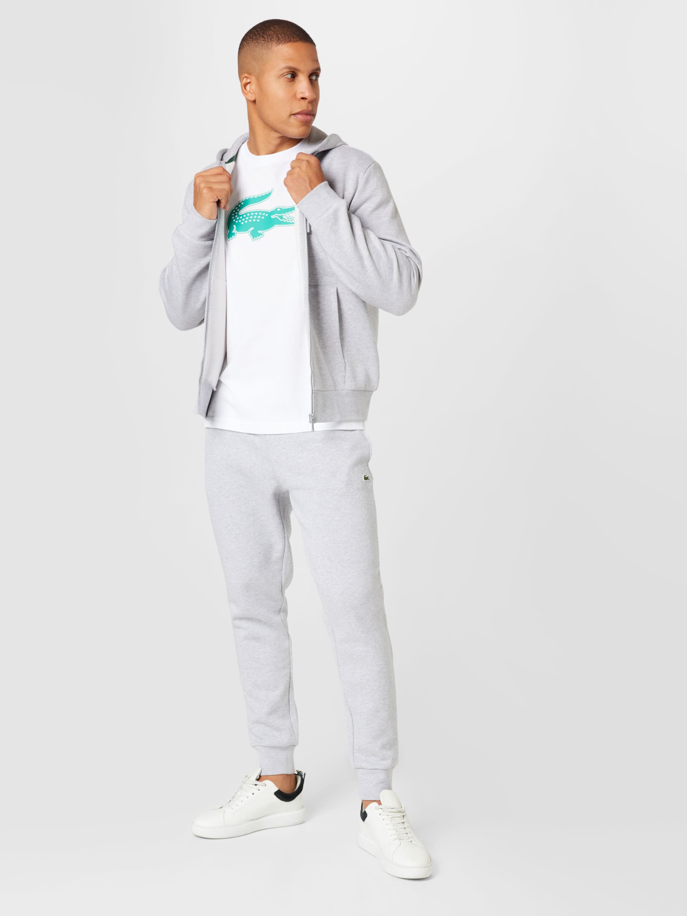 LACOSTE Grote maten voor heren Shop online ABOUT YOU