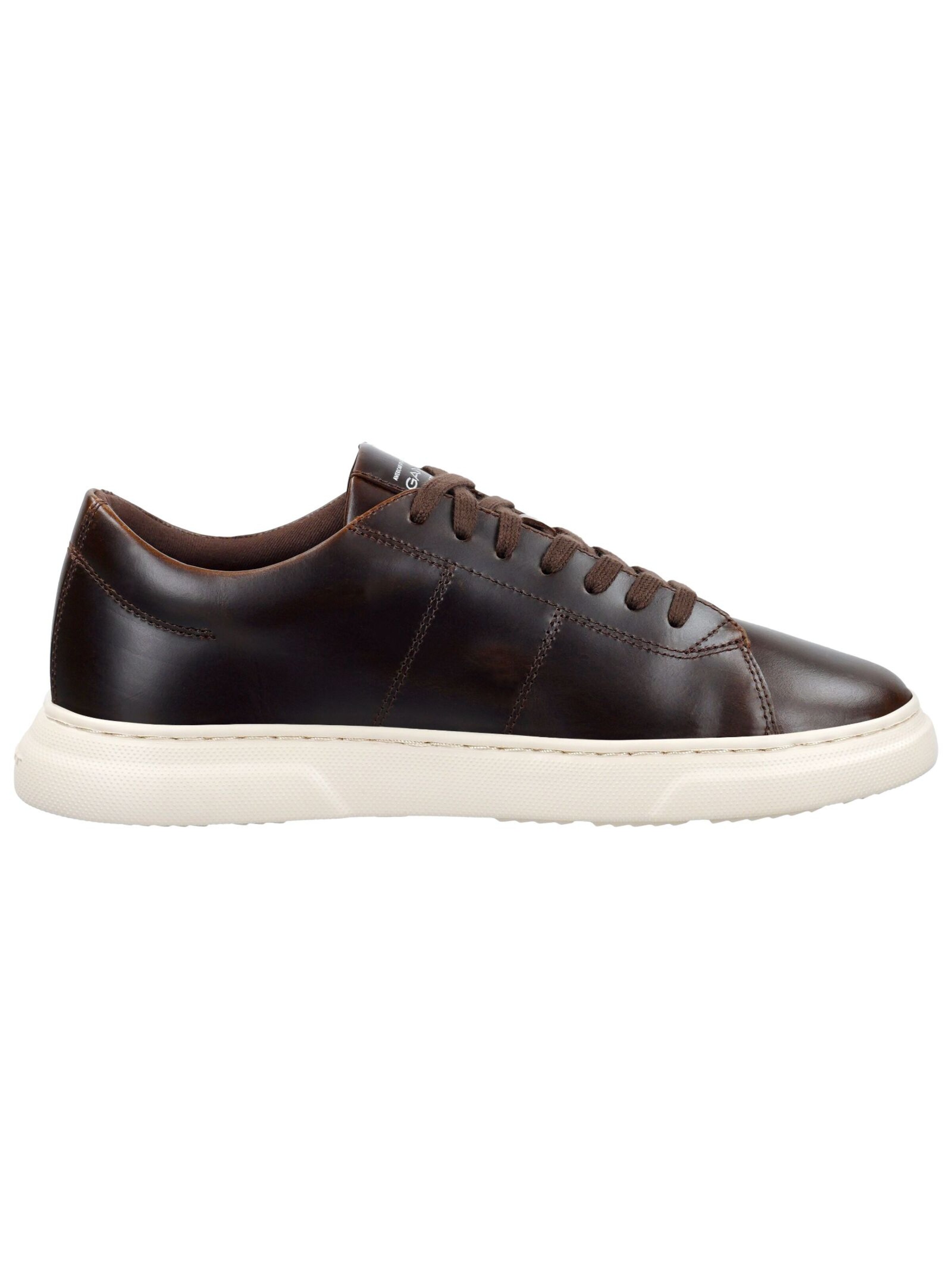 GANT Sneakers in Brown