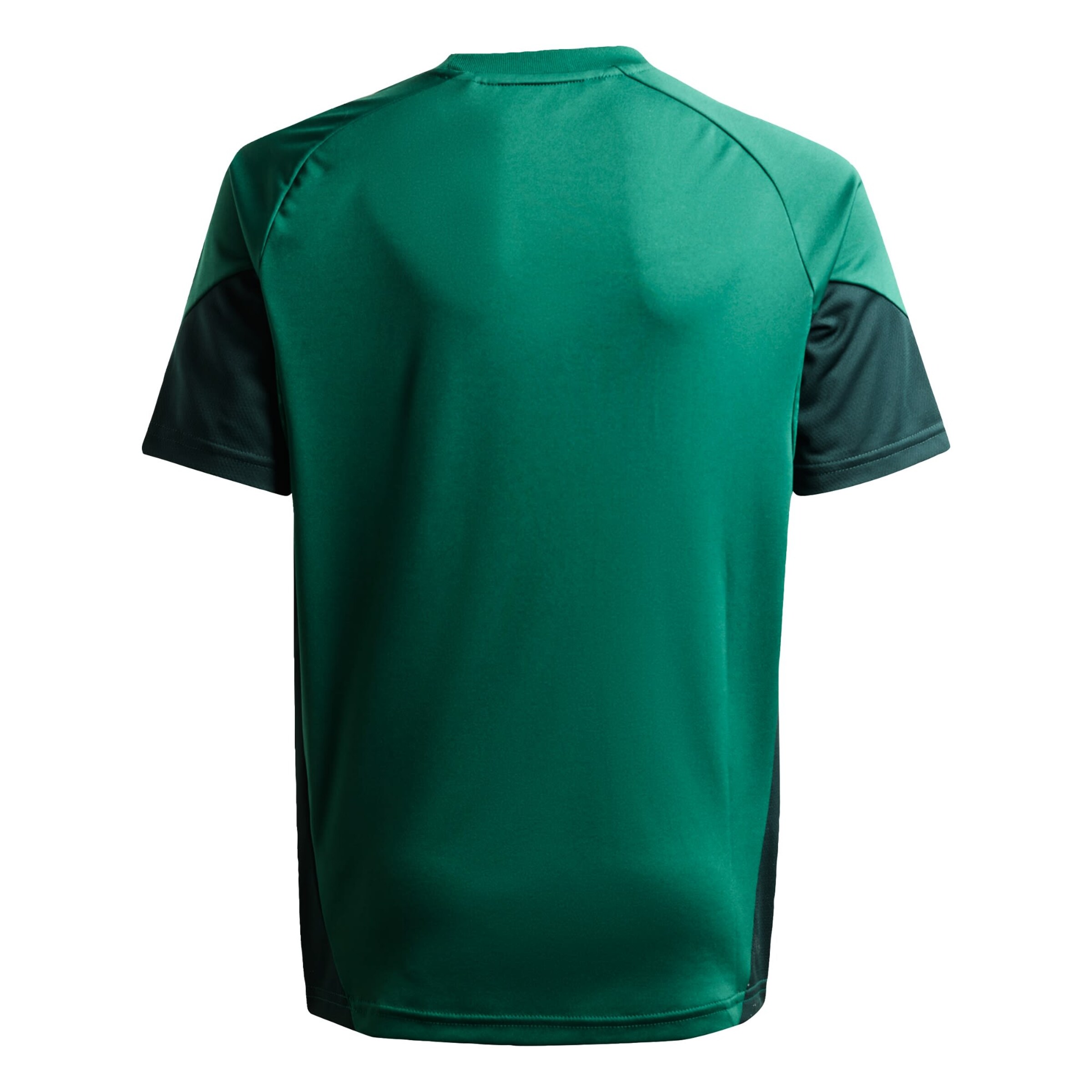 ADIDAS PERFORMANCE Performance Shirt 'Tiro 25 Competition' in Green