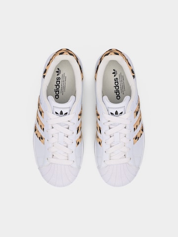 Sneaker 'SUPERSTAR II' di ADIDAS ORIGINALS in bianco