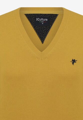 DENIM CULTURE Sweater 'ISABELLA' in Yellow