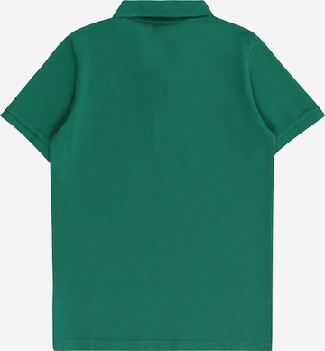 SCOTCH & SODA - Camiseta en verde