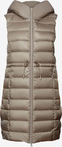 ESPRIT Bodywarmer in Grijs: voorkant