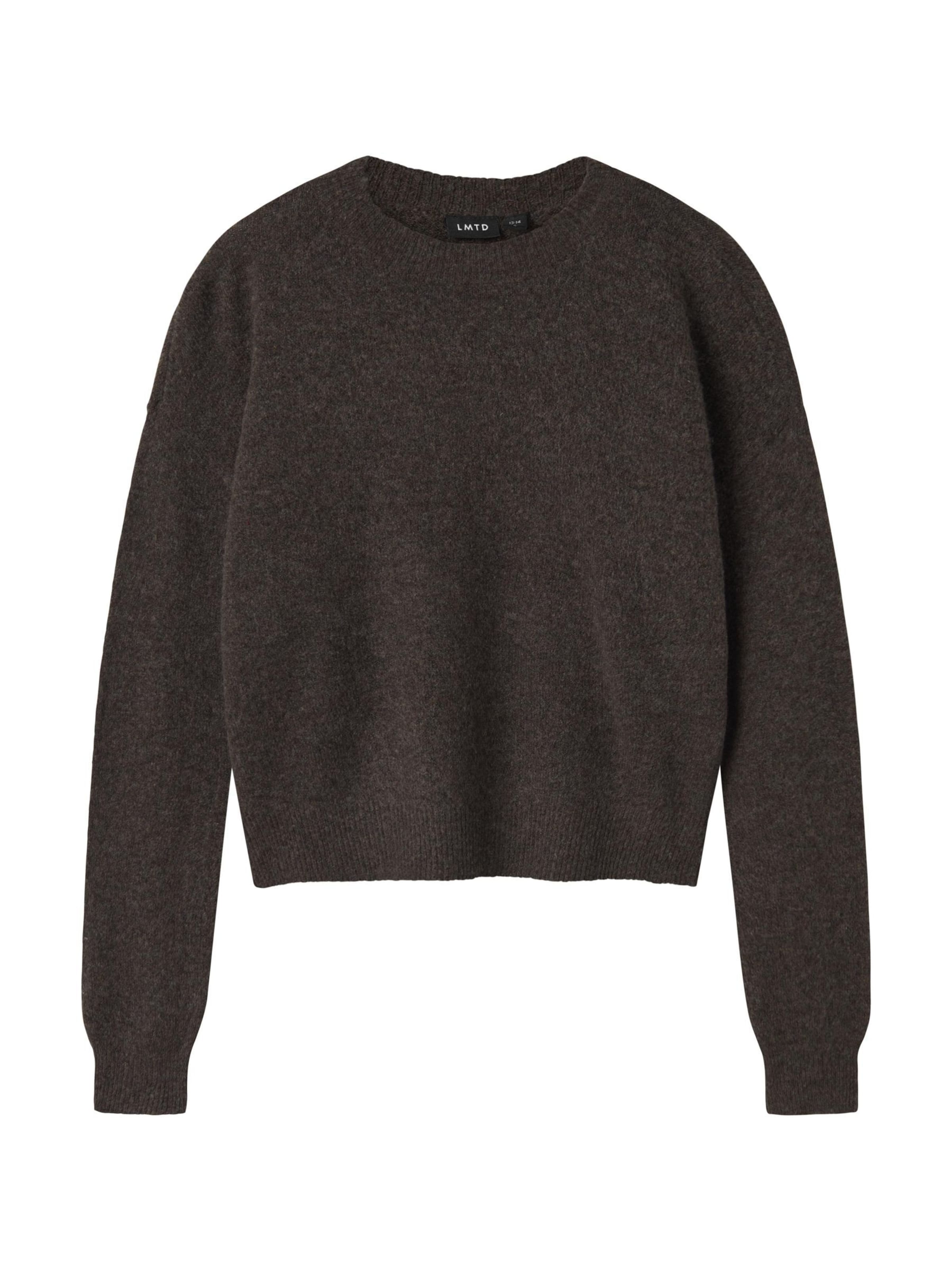 LMTD Pullover 'Lodet' i brun: forside