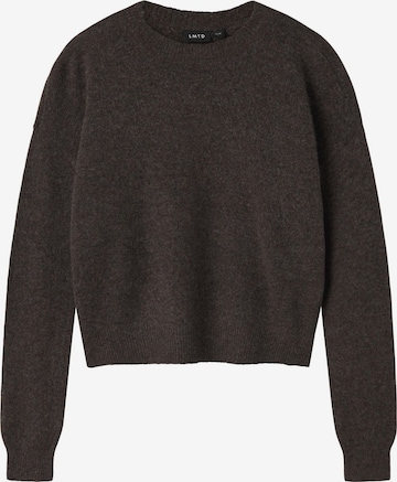 LMTD Sweater 'Lodet' in Brown: front