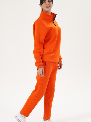 LOUIS LECLER Sweatshirt 'Sage' in Rood