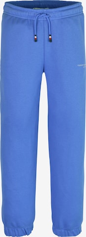 TOMMY HILFIGER Trousers in Blue: front