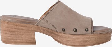 TAMARIS Mules 'Mule' in Grey