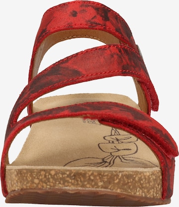 JOSEF SEIBEL Strap Sandals in Red