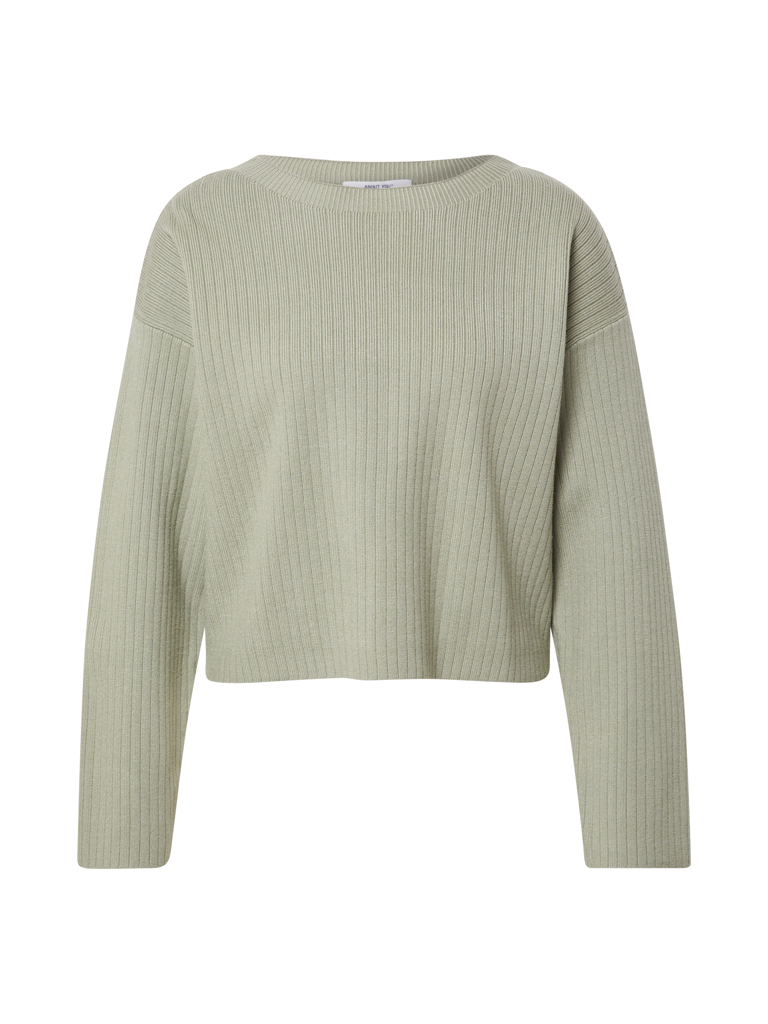 Abbigliamento Taglie comode Pullover Jane in Verde Pastello Abbigliamento Taglie comode Pullover Jane in Verde Pastello