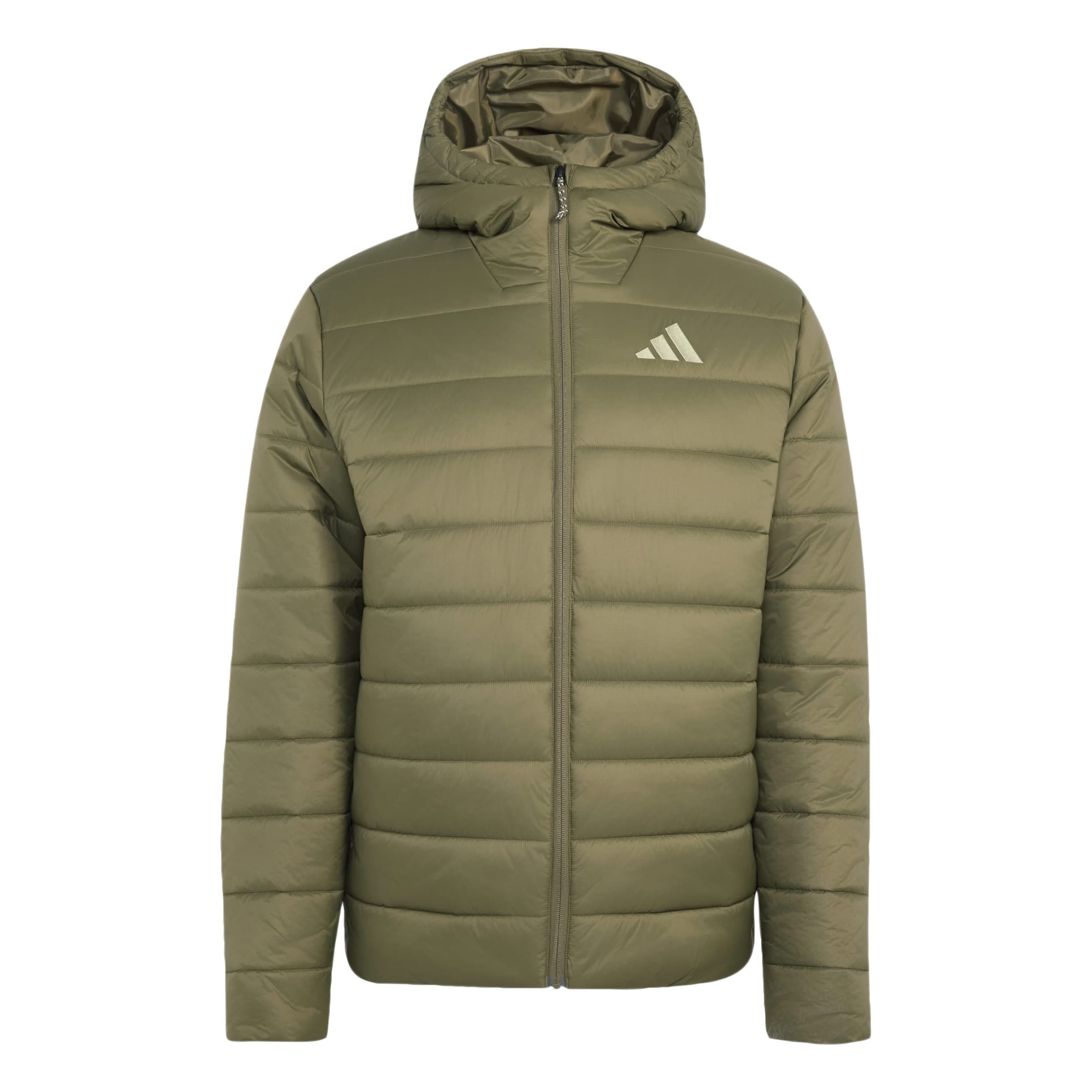 Giacca per outdoor 'Essentials' di ADIDAS TERREX in verde: frontale
