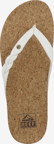 REEF Beach & Pool Shoes in White
