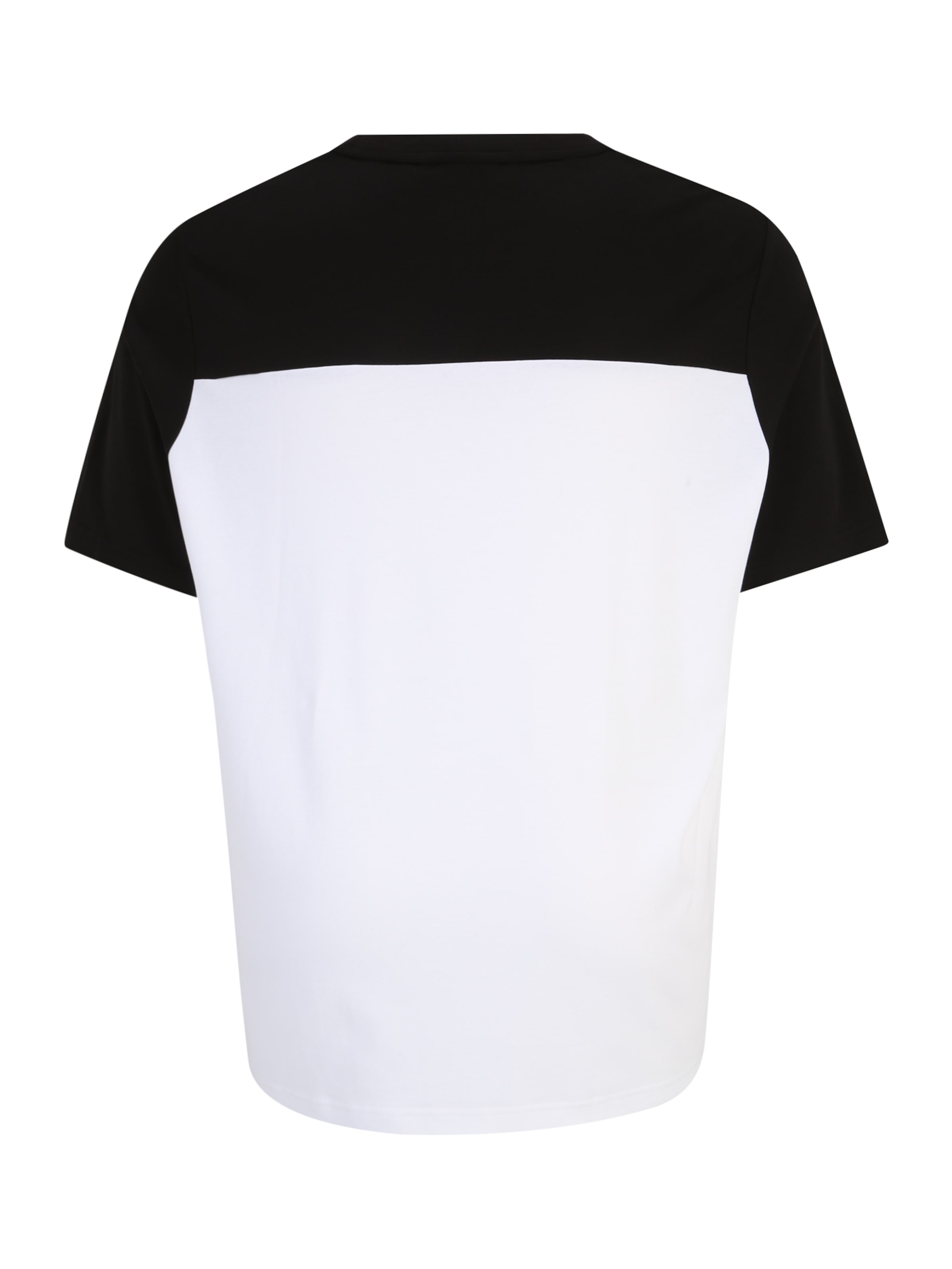 Männer Große Größen Calvin Klein Big & Tall T-Shirt in Schwarz, Weiß - FP65653 Männer Große Größen Calvin Klein Big & Tall T-Shirt in Schwarz, Weiß - FP65653