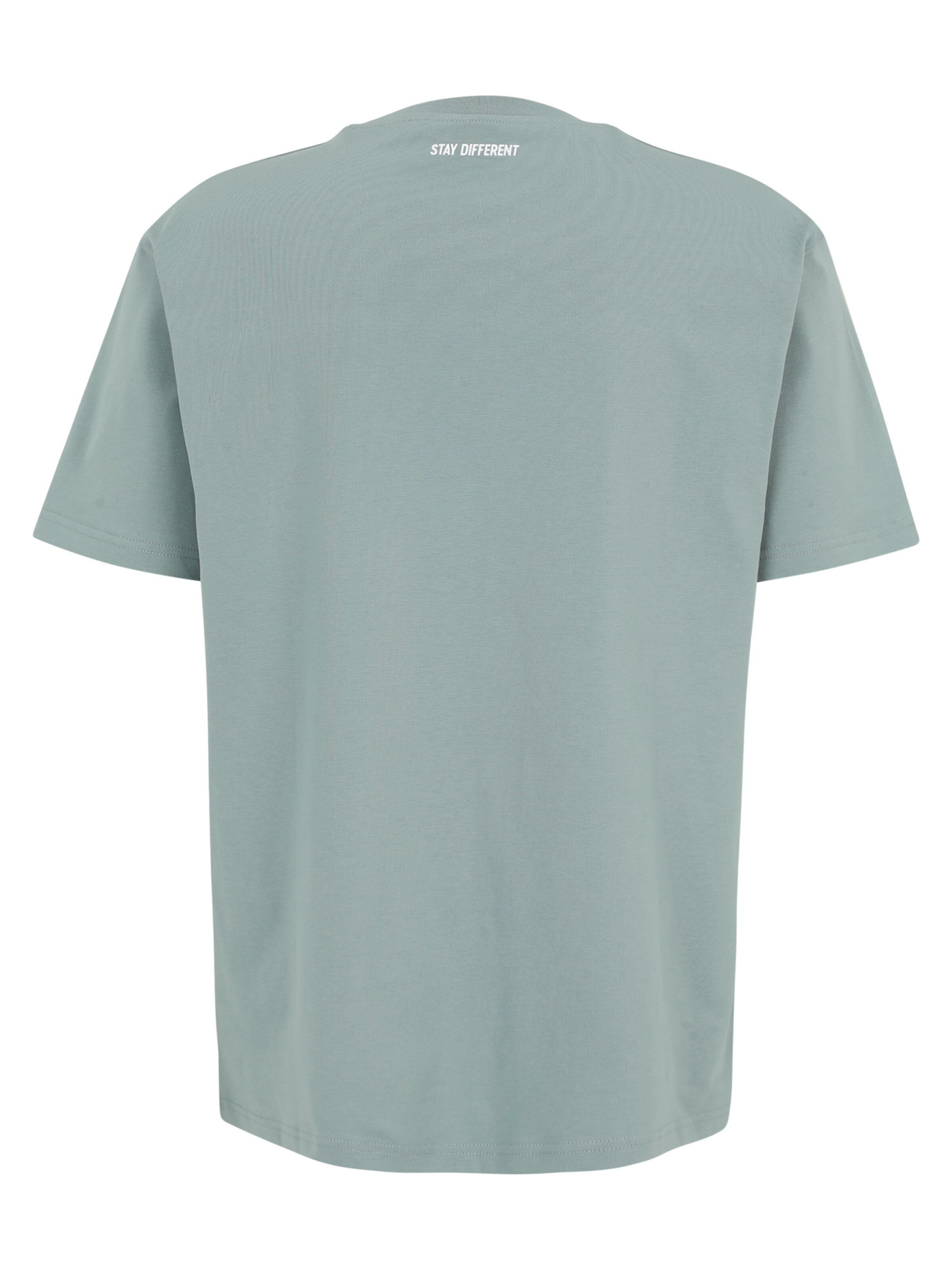 Iriedaily Shirt 'Bye Bye' in Grey