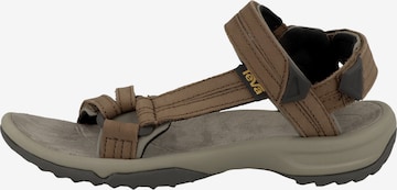 TEVA Sandals 'Terra' in Brown