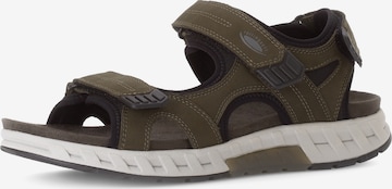 Pius Gabor Sandale in Grün: Vorderseite