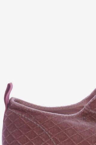 MAISON SCOTCH Sneaker 38 in Pink