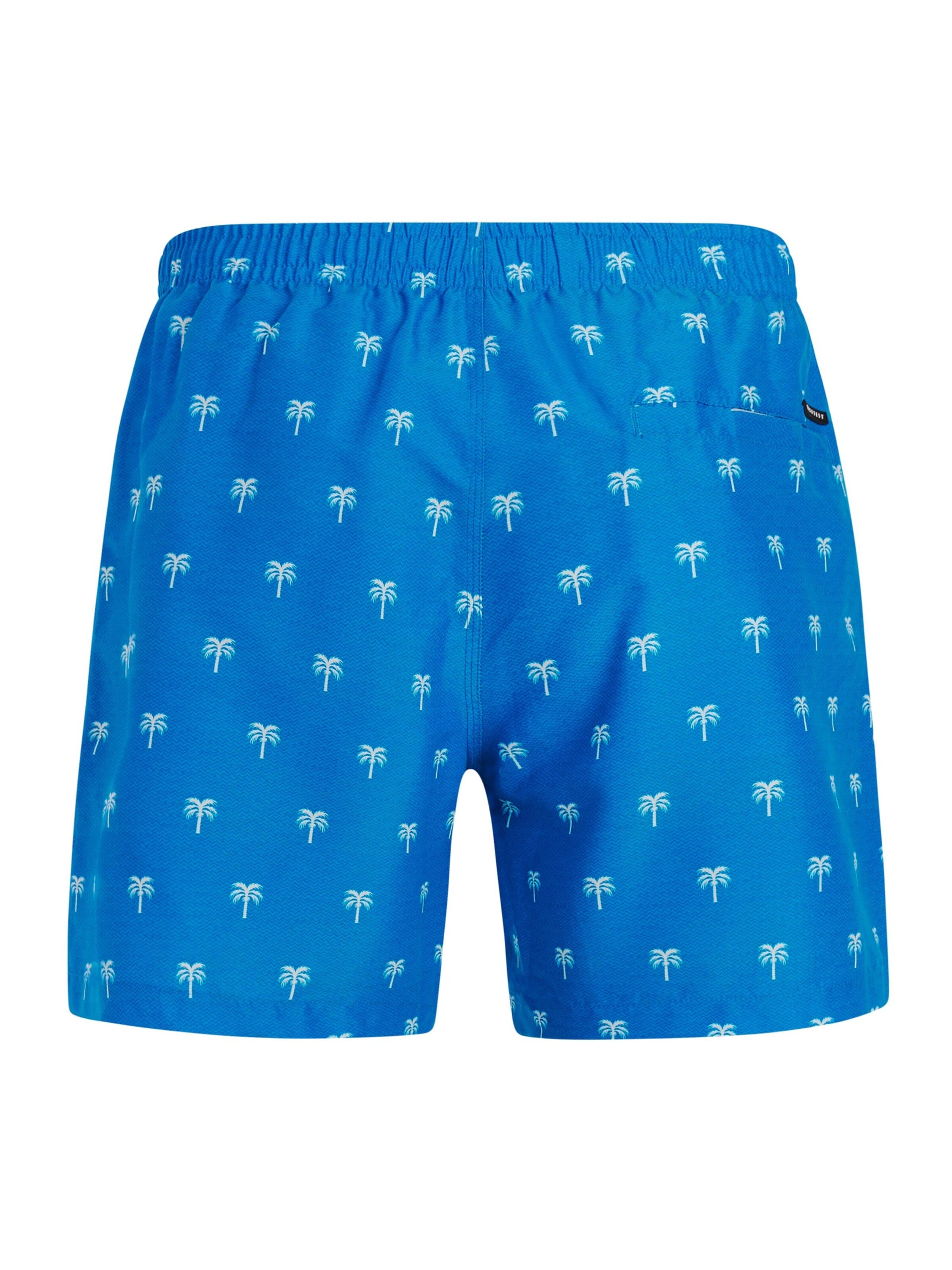 PROTEST Board Shorts 'PRTMascot' in Blue