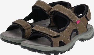 IMAC Hiking Sandals in Brown