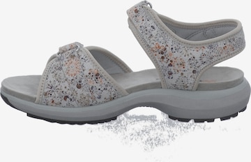Westland Hiking Sandals 'Olivia 07' in Grey