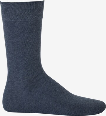 Hudson Socks in Blue