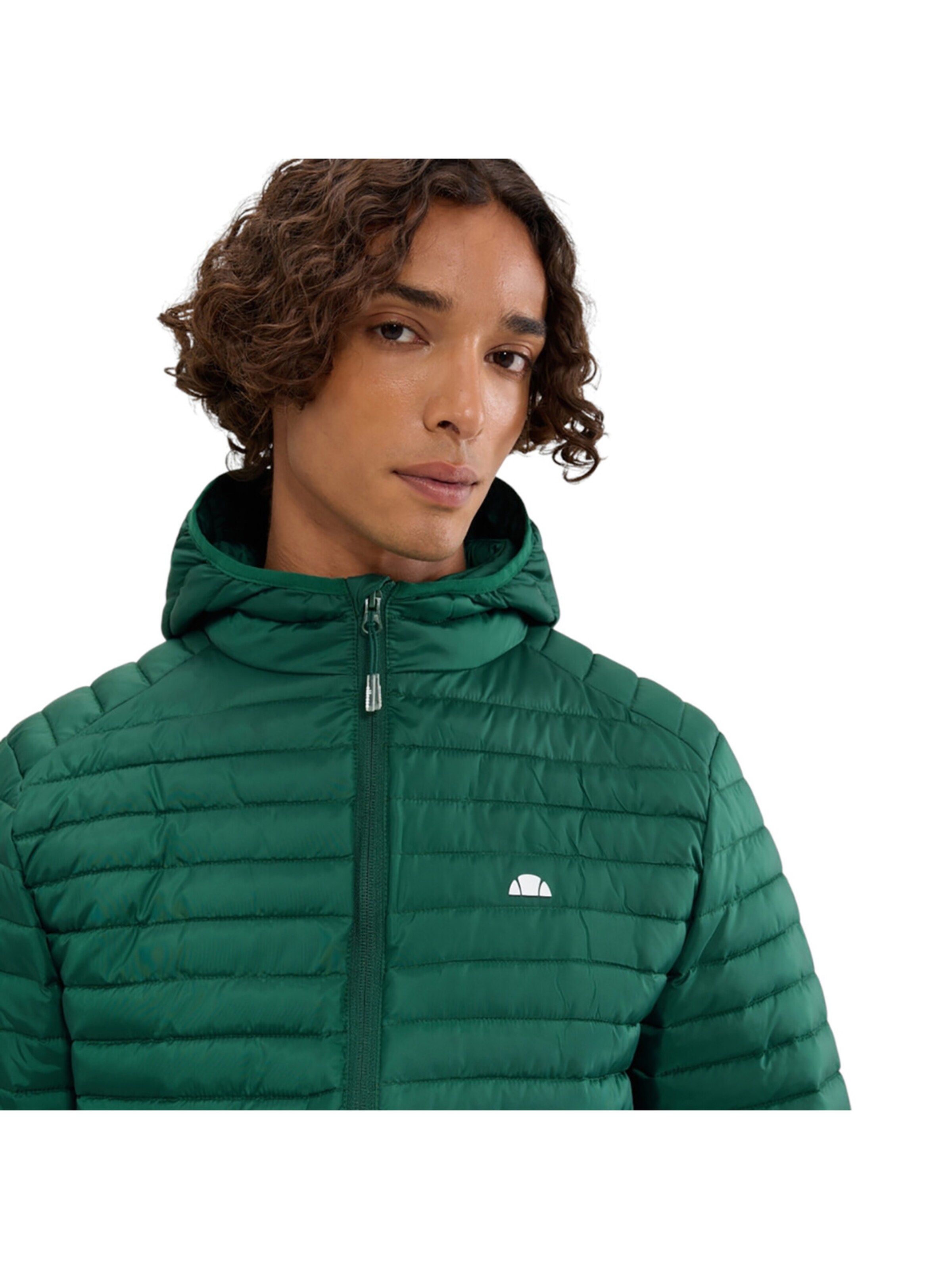 ELLESSE Between-Season Jacket 'Pallochi' in Green