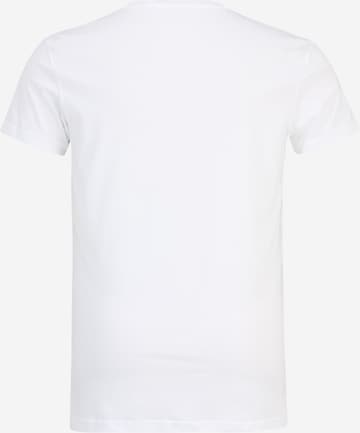 Calvin Klein Jeans Plus Bluser & t-shirts i hvid