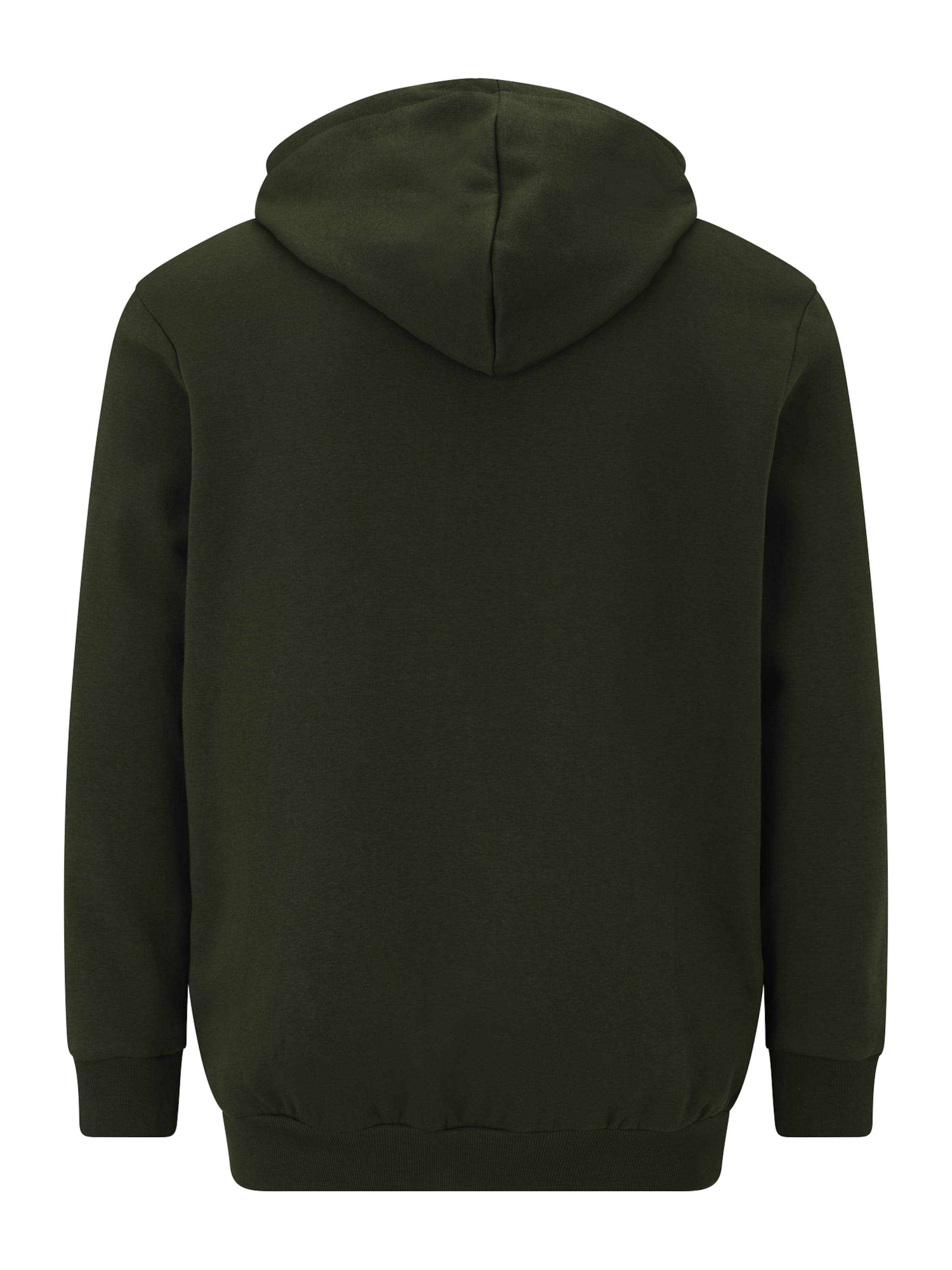 Pull-over 'JJECORP' Jack & Jones Plus en vert