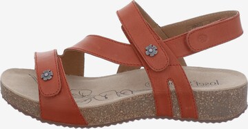 JOSEF SEIBEL Sandals 'Tonga 53' in Red: front