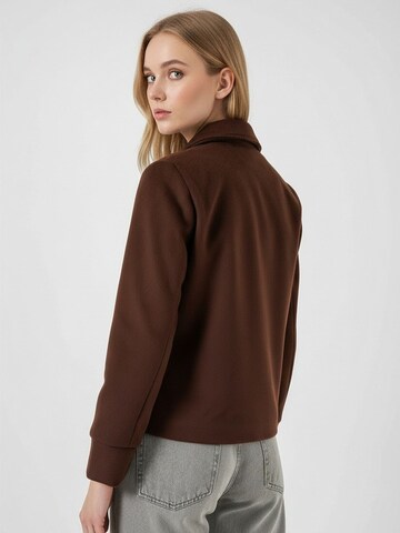 Veste d’hiver 'Jacken' Bigdart en marron