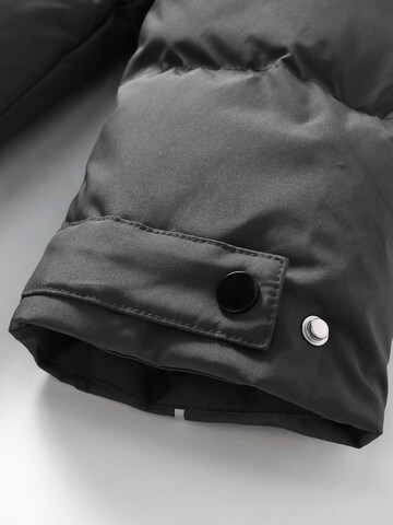 ALLTHEMEN Winter Coat 'Flaum' in Grey